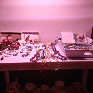 Costume Jewelry Lot #2